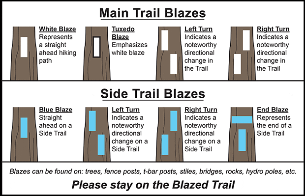 Following the Blazes Informational photo