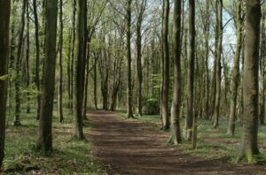 Cotswold Way