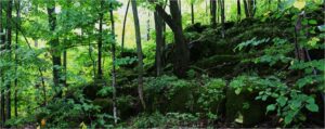 Maplecross Ridge