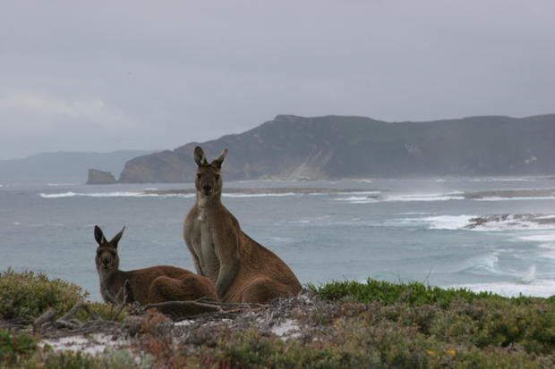 Bibbulmun Image 2
