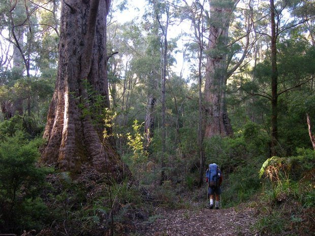 Bibbulmun Image 4