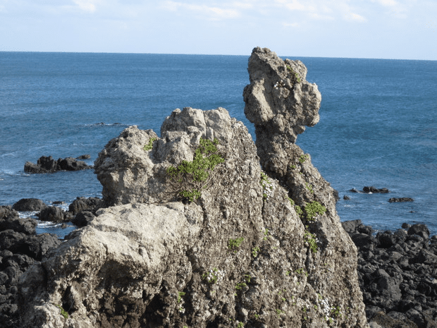 JeJu Olle Image 4