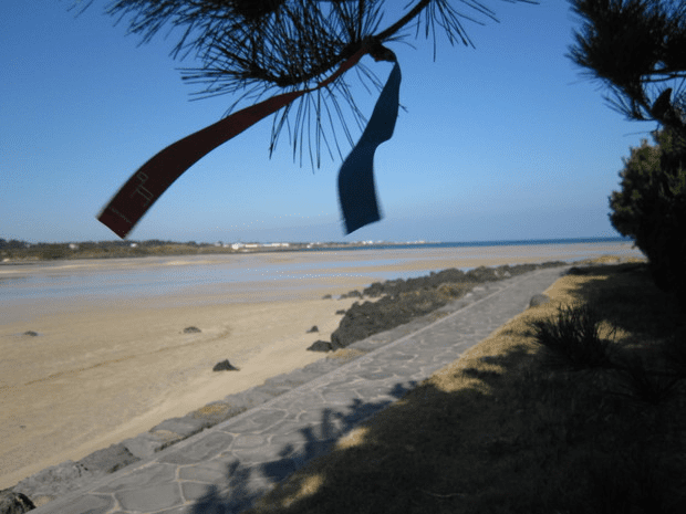 JeJu Olle image 5