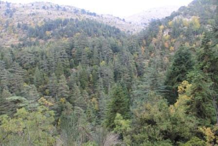 Lebanon Mountain image 1