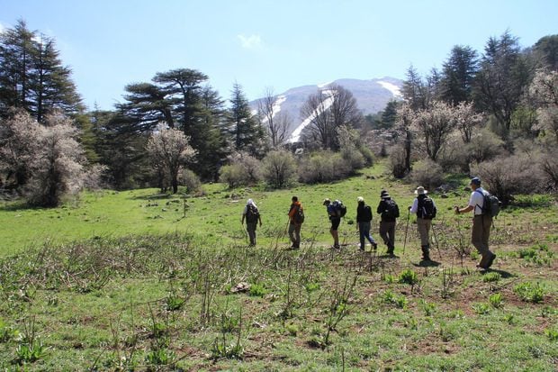 Lebanon Mountain image 3
