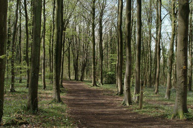 cotswold way trail photo