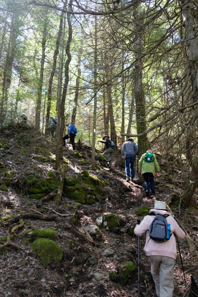 Cape Chin Hikers