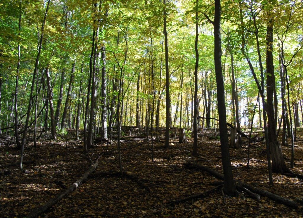 Niagara protected area photo