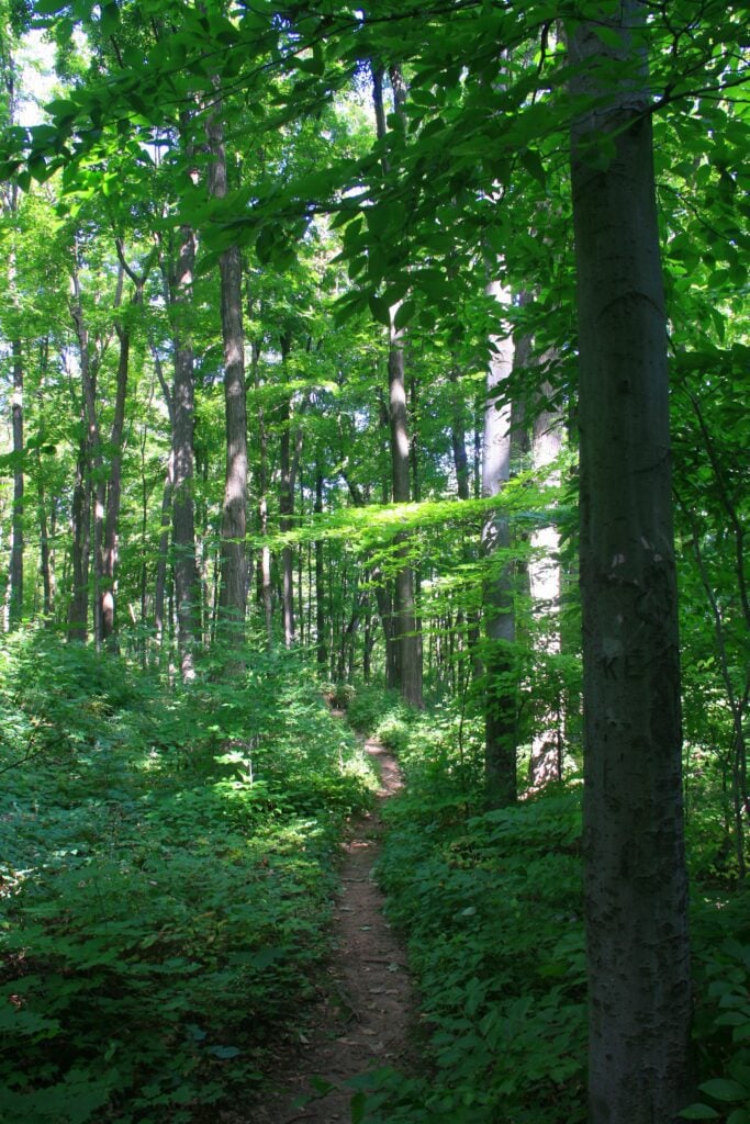 Iroquoia protected area photo