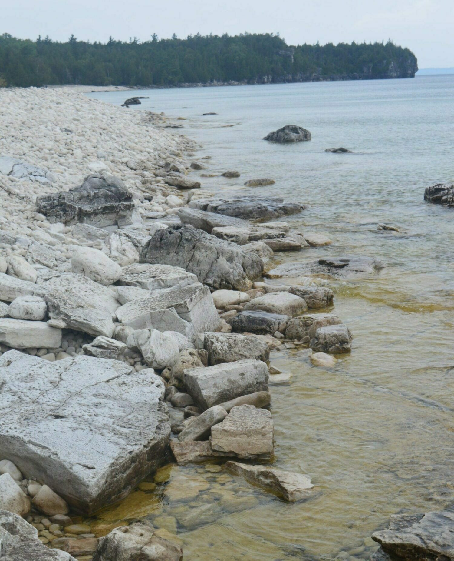 Peninsula Shoreline