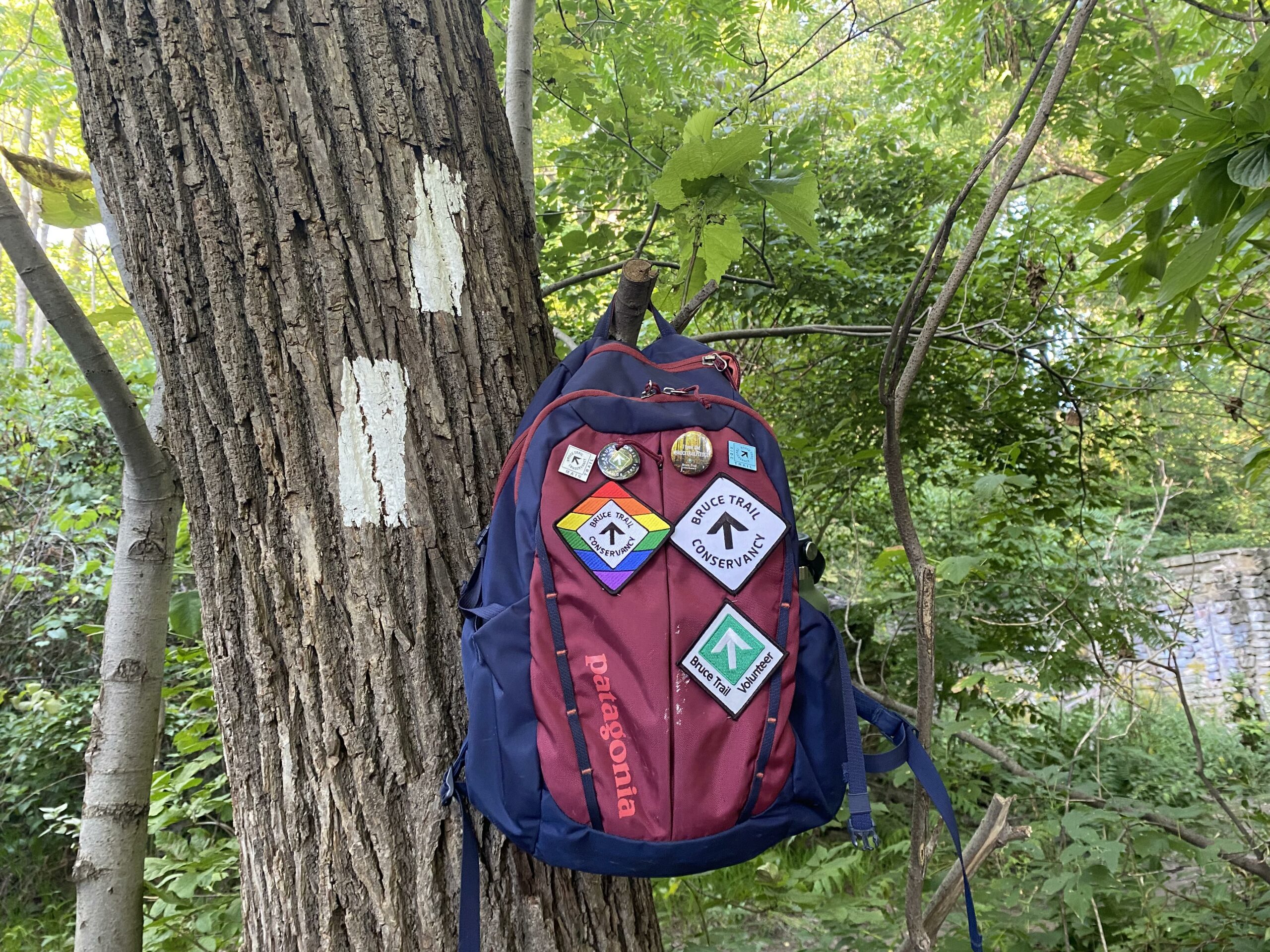 Backpack with Badges