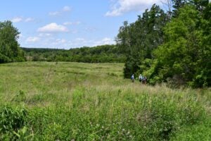 Grassland Restoration