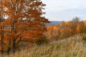 Eagle’s Summit Nature Reserve