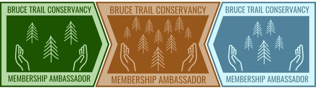 Set of 3 Ambassador Badges