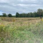 Riverside Woods Controlled Burn
