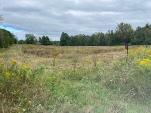 Riverside Woods Controlled Burn